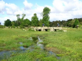 Paso sobre el puente